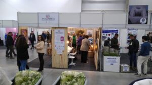 artistas recebem público imaginário das artes construarte